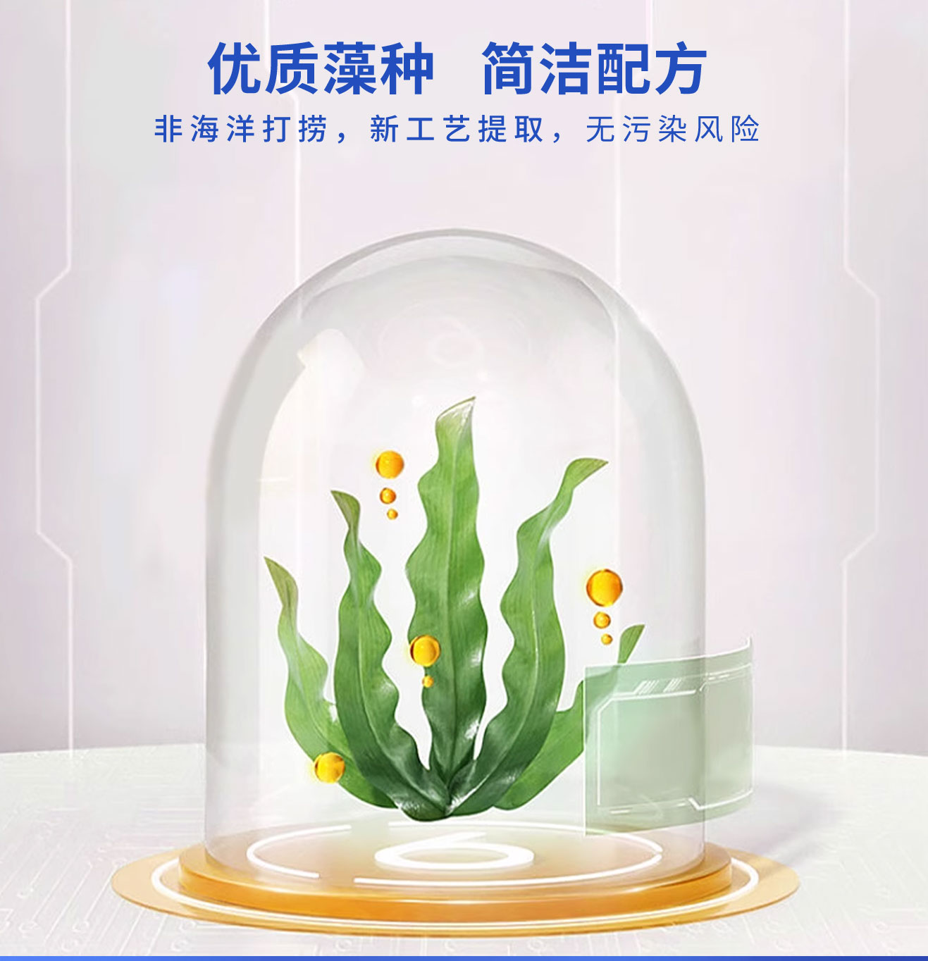 100mgDHA60粒详情11_03.jpg